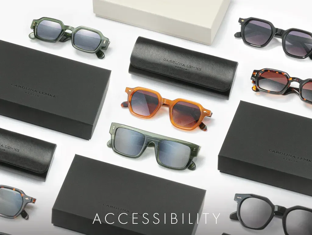accessibility_2048x2048_4cb602c8d5.webp