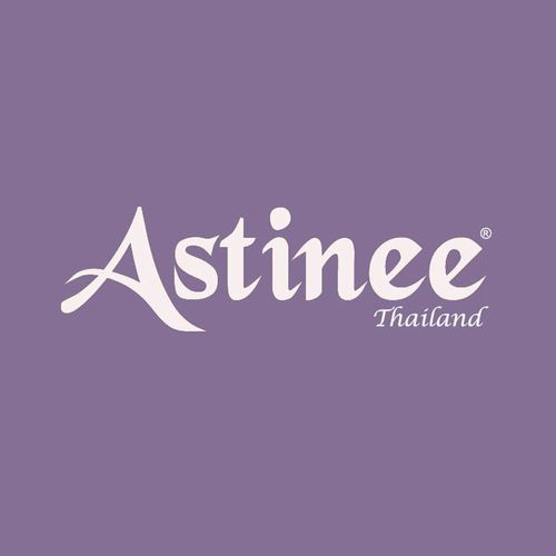 Astinee logo