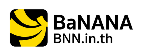 BNN logo